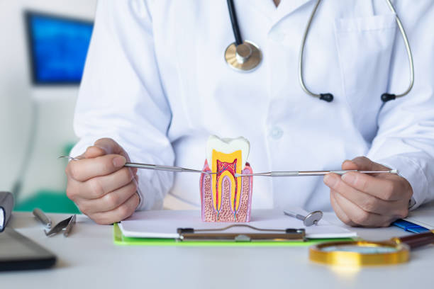 Best Emergency Dental Care for Abscessed Tooth in Oroville, WA